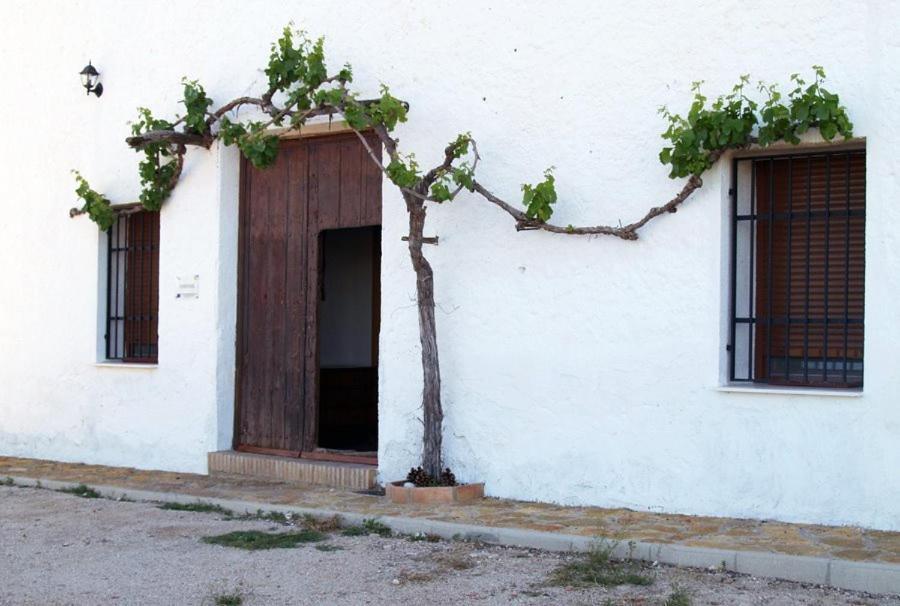 Casa Rural Casa Maxima Yecla Rom bilde